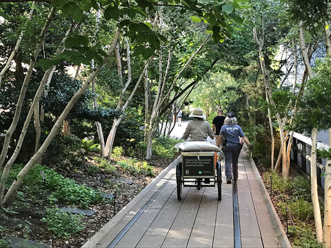 High Line maintenance crew NYC