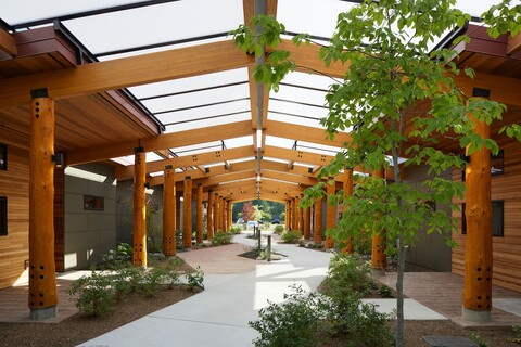 a view down the wide, open corridor of the longhouse with apartments on either side, filled with greenery. large logs support a gabled roof.