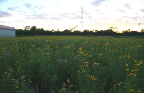  Keson Industries prairie