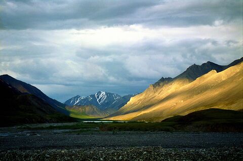 arctic national wildlife refuge