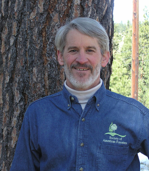 Dave Atkins, Treesource