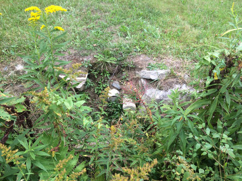 Photo of the drain pipes