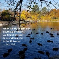 Roxanne Button's picture