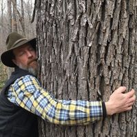 Walter Lourie's picture